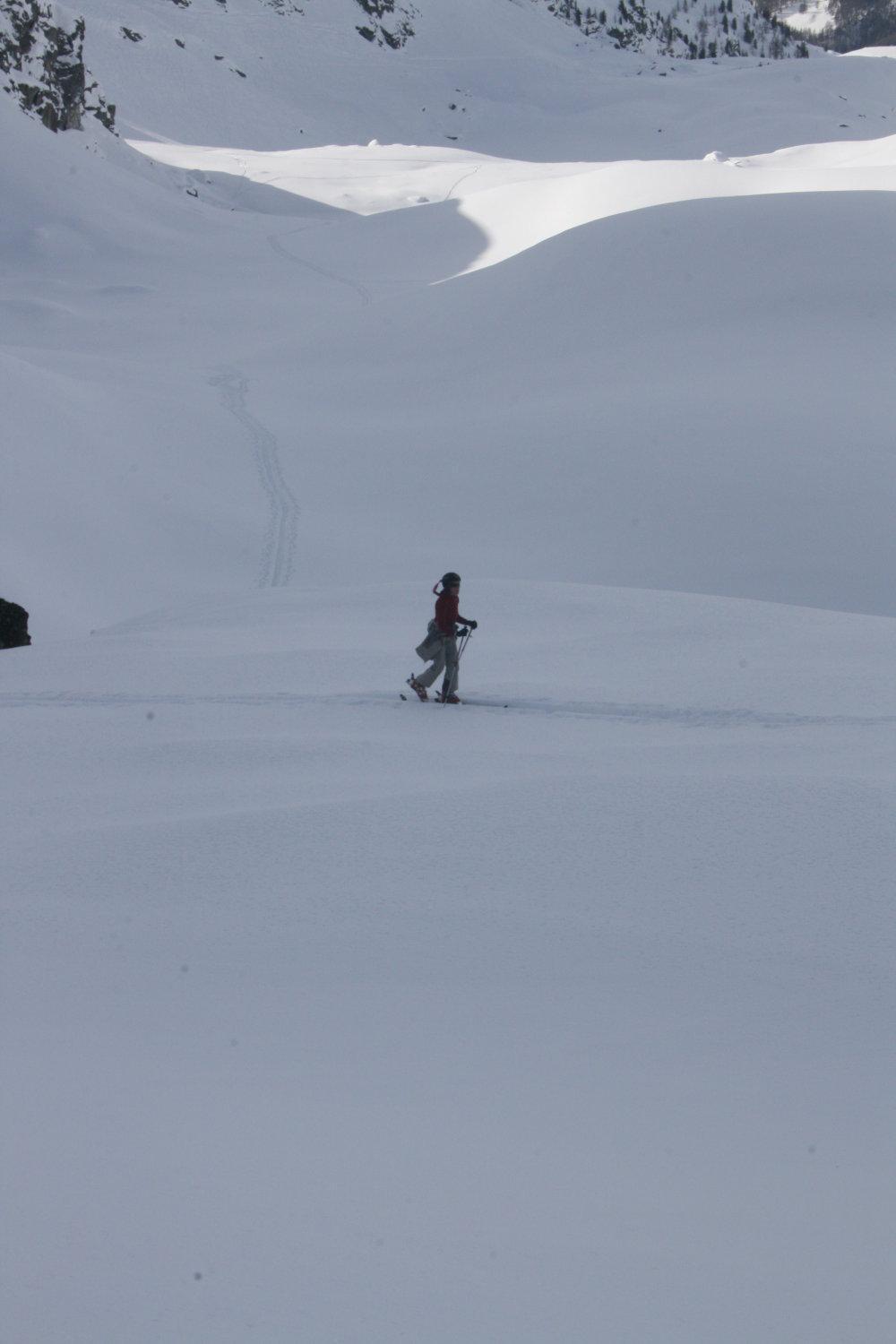Albergo Alpenrose Ski&Bike Mountain Hotel Gressoney-Saint-Jean Exterior foto