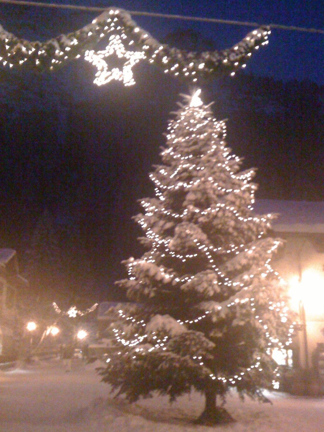 Albergo Alpenrose Ski&Bike Mountain Hotel Gressoney-Saint-Jean Exterior foto