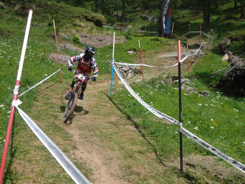 Albergo Alpenrose Ski&Bike Mountain Hotel Gressoney-Saint-Jean Exterior foto