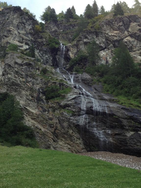 Albergo Alpenrose Ski&Bike Mountain Hotel Gressoney-Saint-Jean Exterior foto